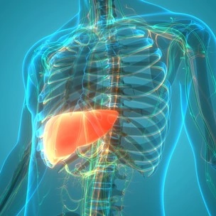 Питание при заболеваниях печени (гепатитах В и С) и других органов желудочно-кишечного тракта